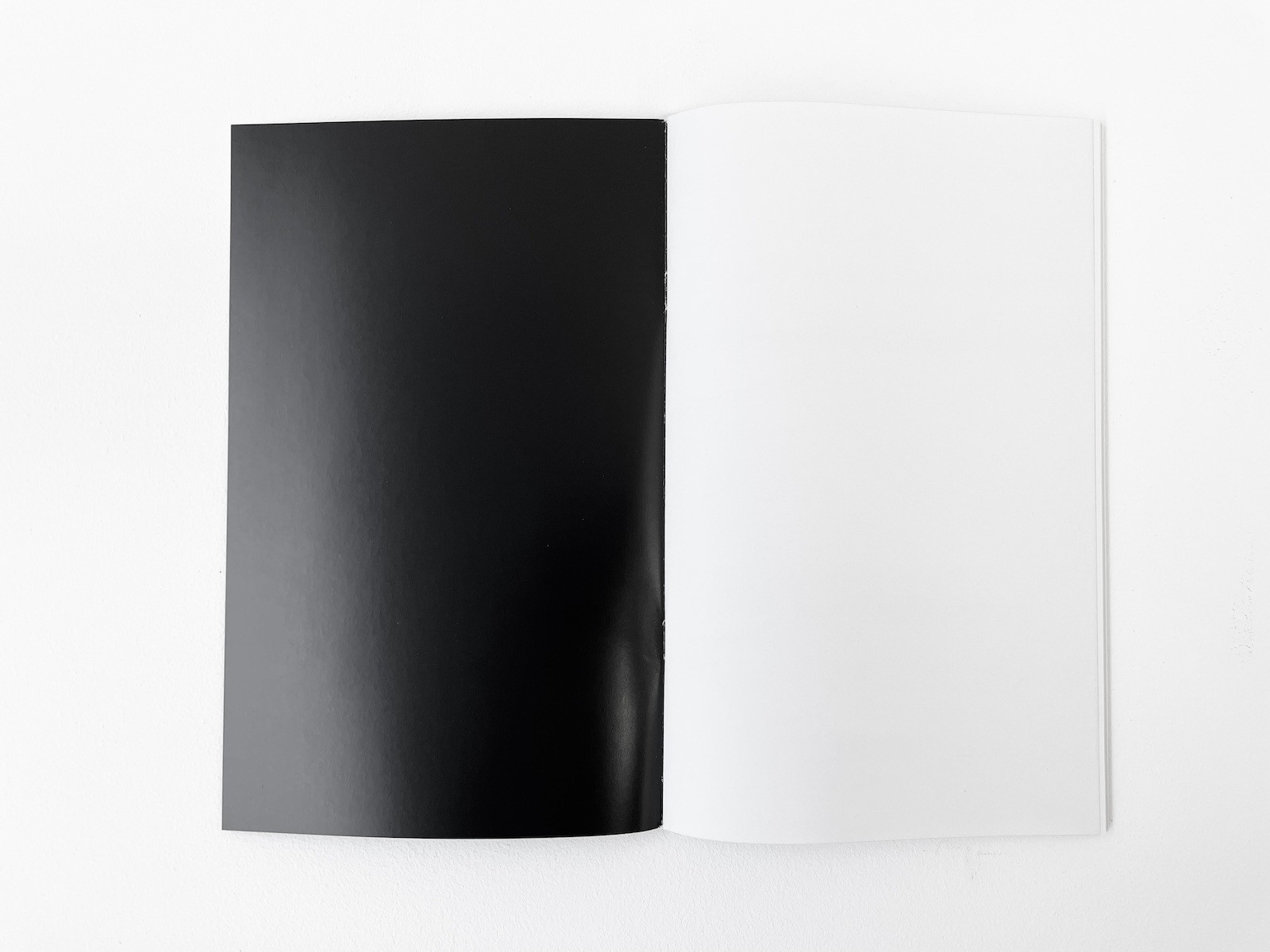 Oleksiy Koval, Publication Acht